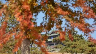 直播录像丨红叶变色率达八成！到北京世园公园赏烂漫秋景
