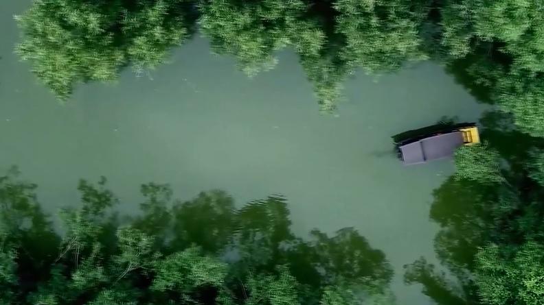 瞰见｜山东郓城：宋江湖畔百鸟飞