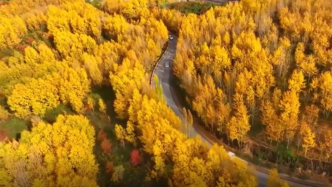 美如水彩画！航拍秋日的宁夏公路