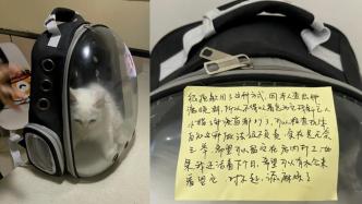 猫咖店主在门口捡到小猫：主人写纸条称自己患绝症，将猫托付