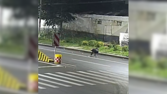 貨車轉(zhuǎn)彎石塊掉一地，過(guò)路女孩28次彎腰清理路面