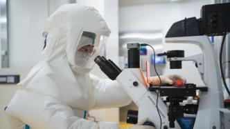 中国生物武汉生物制品研究所成功分离猴痘病毒