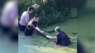 老人不慎掉进水塘，小伙与警方合力施救