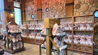 上海迪士尼M号玲娜贝儿玩偶开售，二手市场价格翻了近三倍