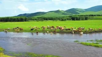 “神奇动物在这里”，发言人争说生态美