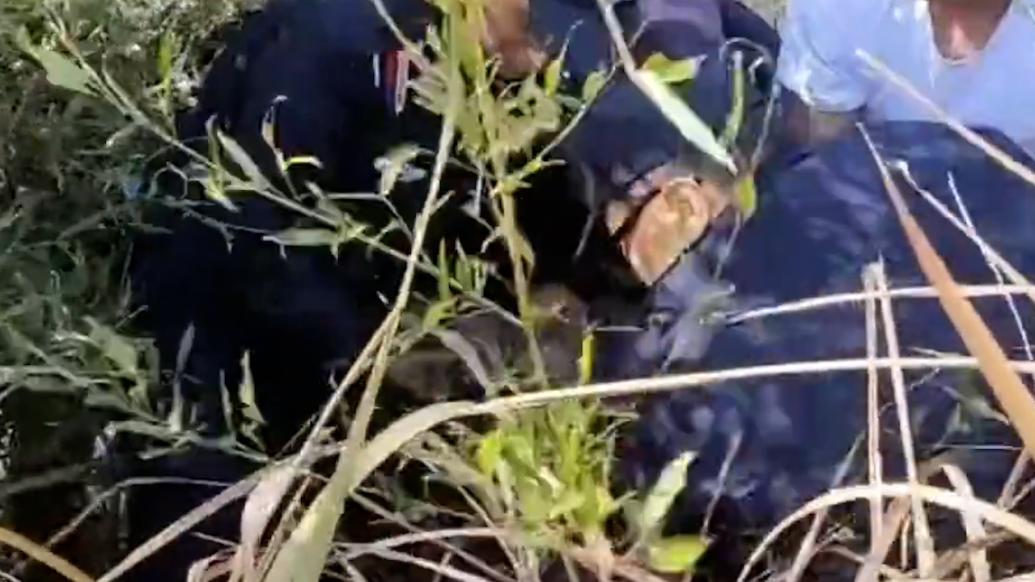老人山林深處迷路陷入淤泥,民警赤腳上陣泥潭中救援