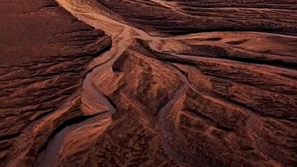 當錢塘江潮汐樹遇上晚霞，大地熠熠生輝