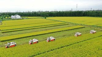 《中国农业绿色发展报告2021》发布，上海松江排名第一