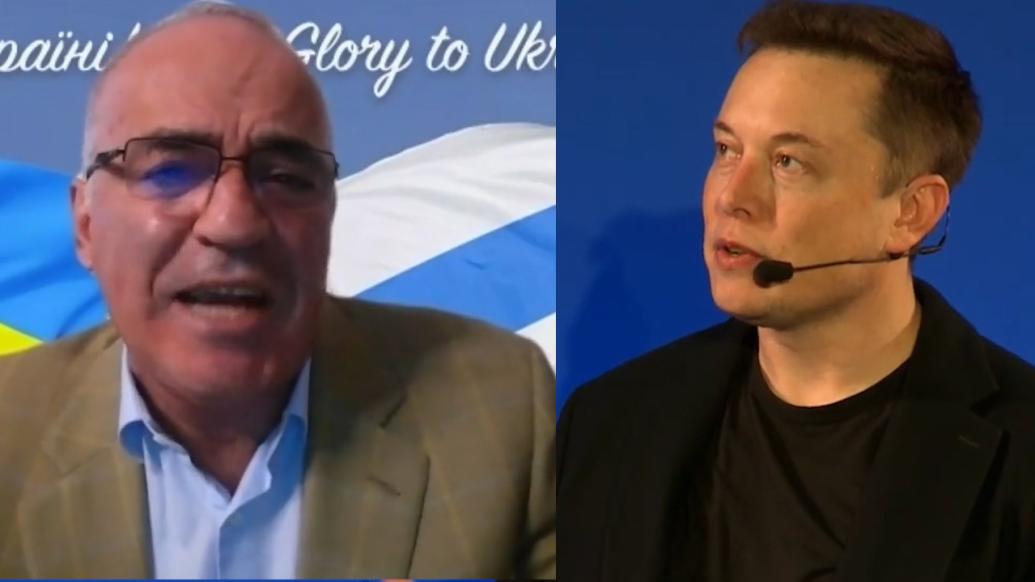 互罵“白癡” ，國際象棋大師與馬斯克為俄烏議題吵起來了！