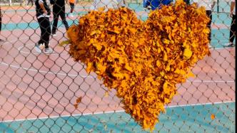 男生用落叶在球场围网拼“爱心”：用这种方式留住秋天