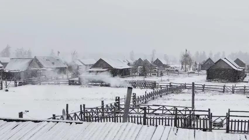 美到窒息！新疆喀纳斯深秋大雪纷飞似水墨仙境
