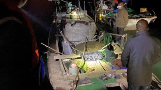 昼伏夜出在上海淀山湖非法捕捞水产品40余吨，17人被抓