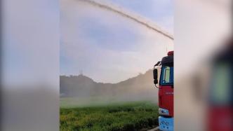 晚稻抽穗期遇天气干涸，消防车为干裂稻田送水
