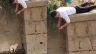 小伙趴地1小时，用绳子救起落水被困小狗