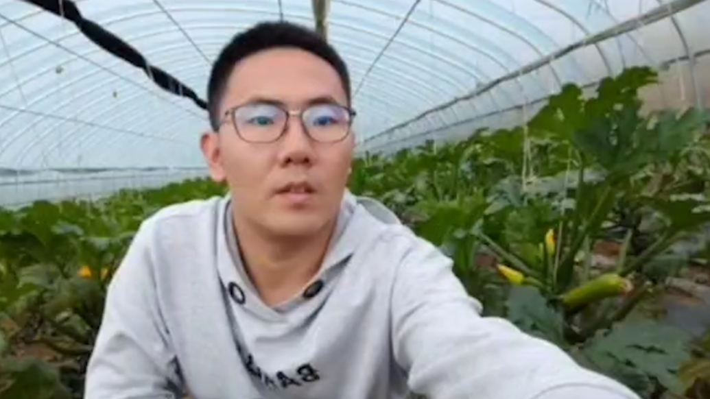 筑梦家乡 | 东北小伙返乡种植西葫芦：大学生卖菜并不可笑