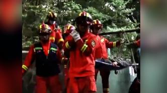 男子丛林作业被树砸伤腿，消防紧急转移伤者