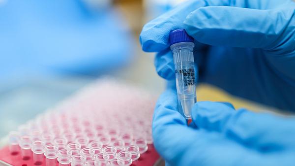 上海迪士尼目前不进不出，10月27日起入园的游客需三天三检