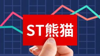 ST熊猫：实控人赵伟平涉嫌非法吸收公众存款罪被刑事拘留