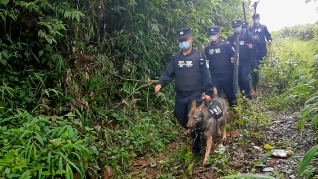 两只缉毒犬协助民警查获特大毒品案