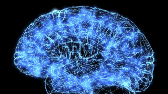 《科学》特刊综述脑研究进展：大脑神经元连接协调恰似“交响乐”