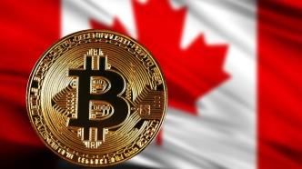 加拿大政府就数字货币问题展开磋商，并进一步启动立法审查