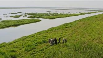全球自然湿地减少了35%，《武汉宣言》发布，含12项行动