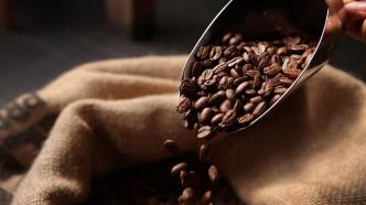 在进博会中，上海交易团在咖啡豆贸易领域有新收获