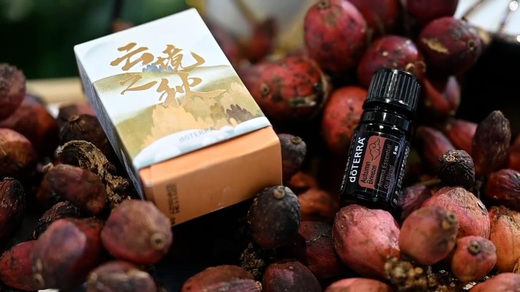 进博会丨将“滇香翘楚”带向世界！多特瑞推新品香薰复配精油