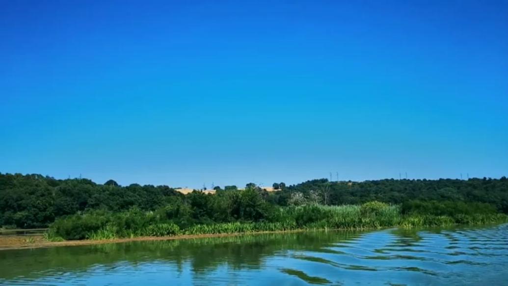 感受湿地之美：意大利纳扎诺泰韦雷-法尔法自然保护区