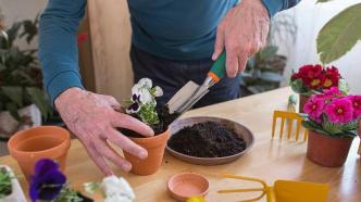 最新研究：从事园艺活动有助老年人身心健康，十年死亡风险更低