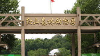 南京红山森林动物园直播筹款：穷得揭不开锅了
