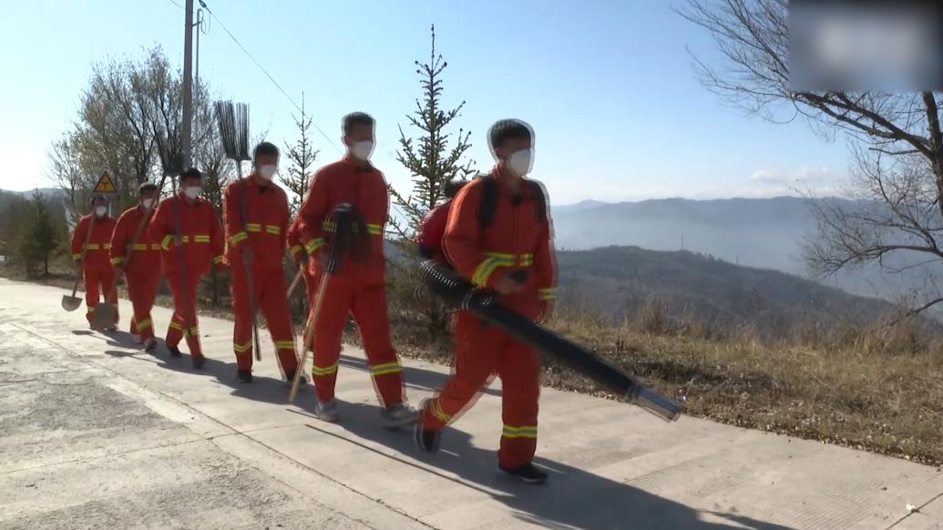 在林间穿行，与山林为伴：六盘山中的森林守护者