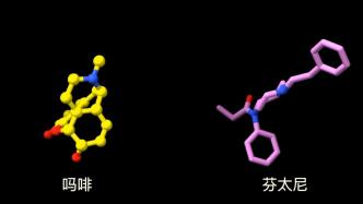 上海科学家首次揭示强效镇痛药芬太尼和吗啡作用机理