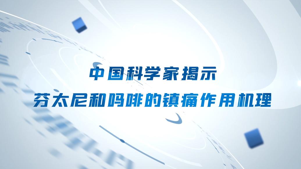 上海科學(xué)家首次揭示強(qiáng)效鎮(zhèn)痛藥芬太尼和嗎啡作用機(jī)理