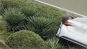 上海一男子行驶途中弯腰捡包，径直冲进绿化带