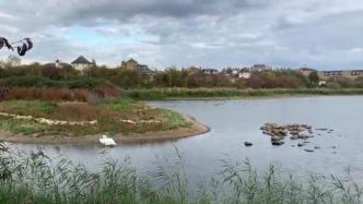 英国伦敦湿地中心：工业废地改建为都市生态乐园