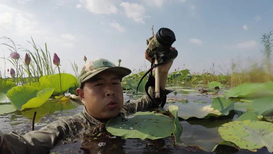 青頭潛鴨最南端繁殖地在武漢，發現者曾在水中蹲守數小時觀察