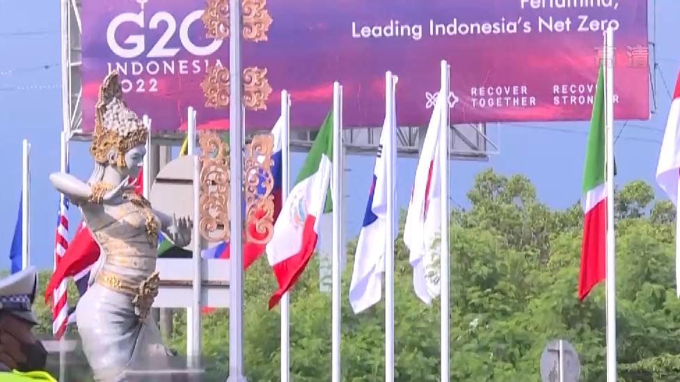 印尼媒体人士：希望印尼和中国未来能展开更多合作