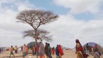 联合国前官员呼吁帮助非洲应对气候变化