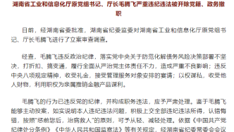 湖南省工信厅原厅长毛腾飞被开除党籍、降为四级主任科员