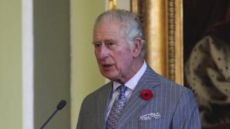 查尔斯向英国议会提议：增加两名王室成员“可代行君主职权”