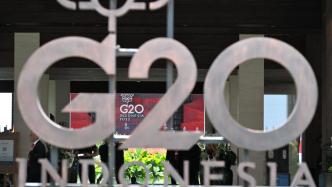 中企代表：以二十国集团领导人峰会为契机，把握机遇加深合作