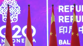 陆慷：中印尼元首会晤体现对两国关系的高度重视