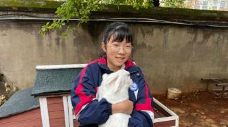 衢州一小学奖励表现好的学生领养兔子