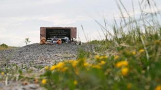 8年后马航MH17坠机案终宣判，3人被判无期徒刑