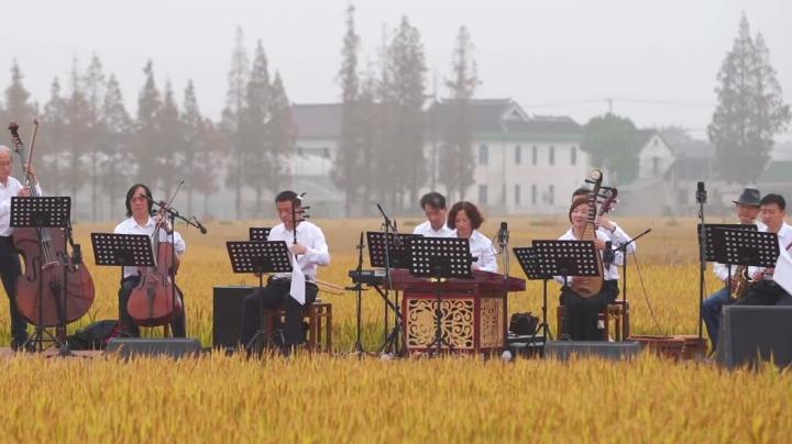 江苏农民歌手田间开稻田音乐会，传递“大会”精神