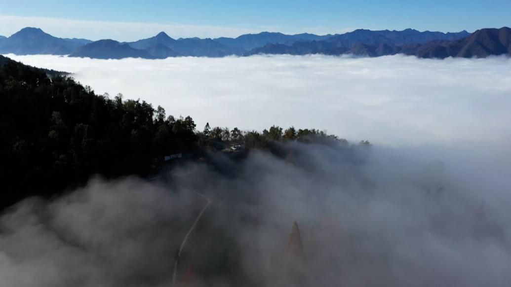 湖北保康现云海景观，山峦树木隐于云雾