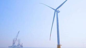 山东首个海上风电与海洋牧场融合试验示范项目即将并网发电