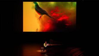 遠離水泥森林，在俞湘君的鋼琴音樂會看鳥飛聽鳥鳴