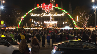 维也纳传统圣诞市场开幕，数千名游客涌入